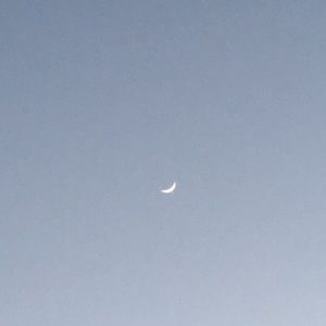 Meet your Posher, Thomas